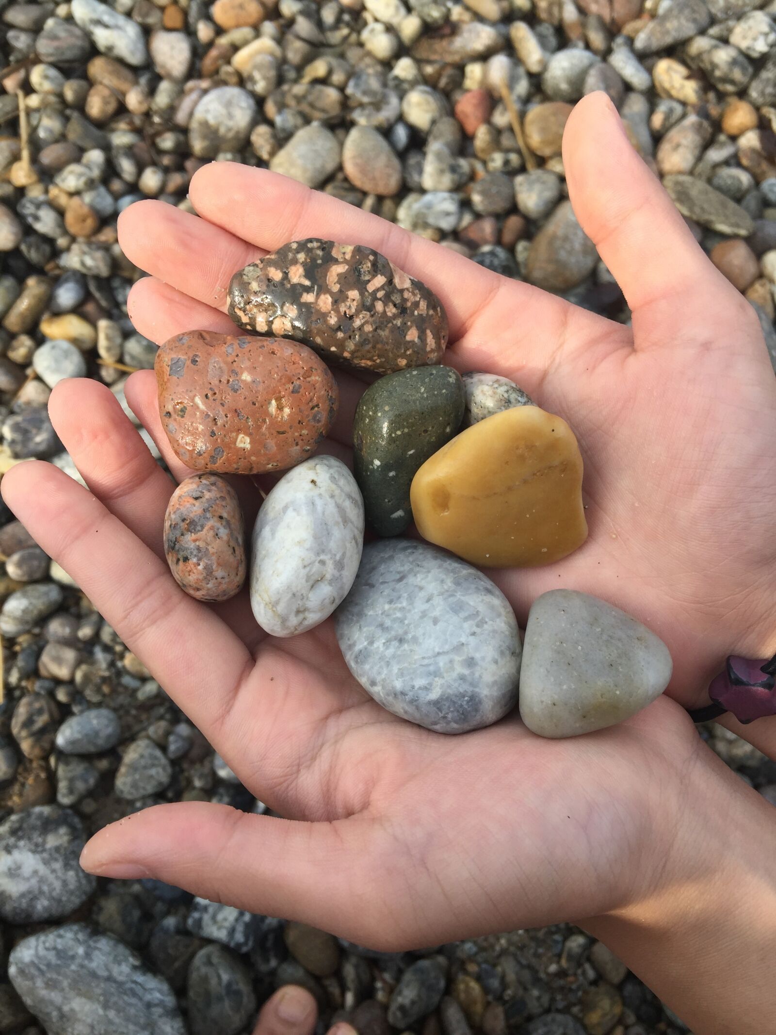 iPhone 6 Plus back camera 4.15mm f/2.2 sample photo. Shingle, hand, beach photography