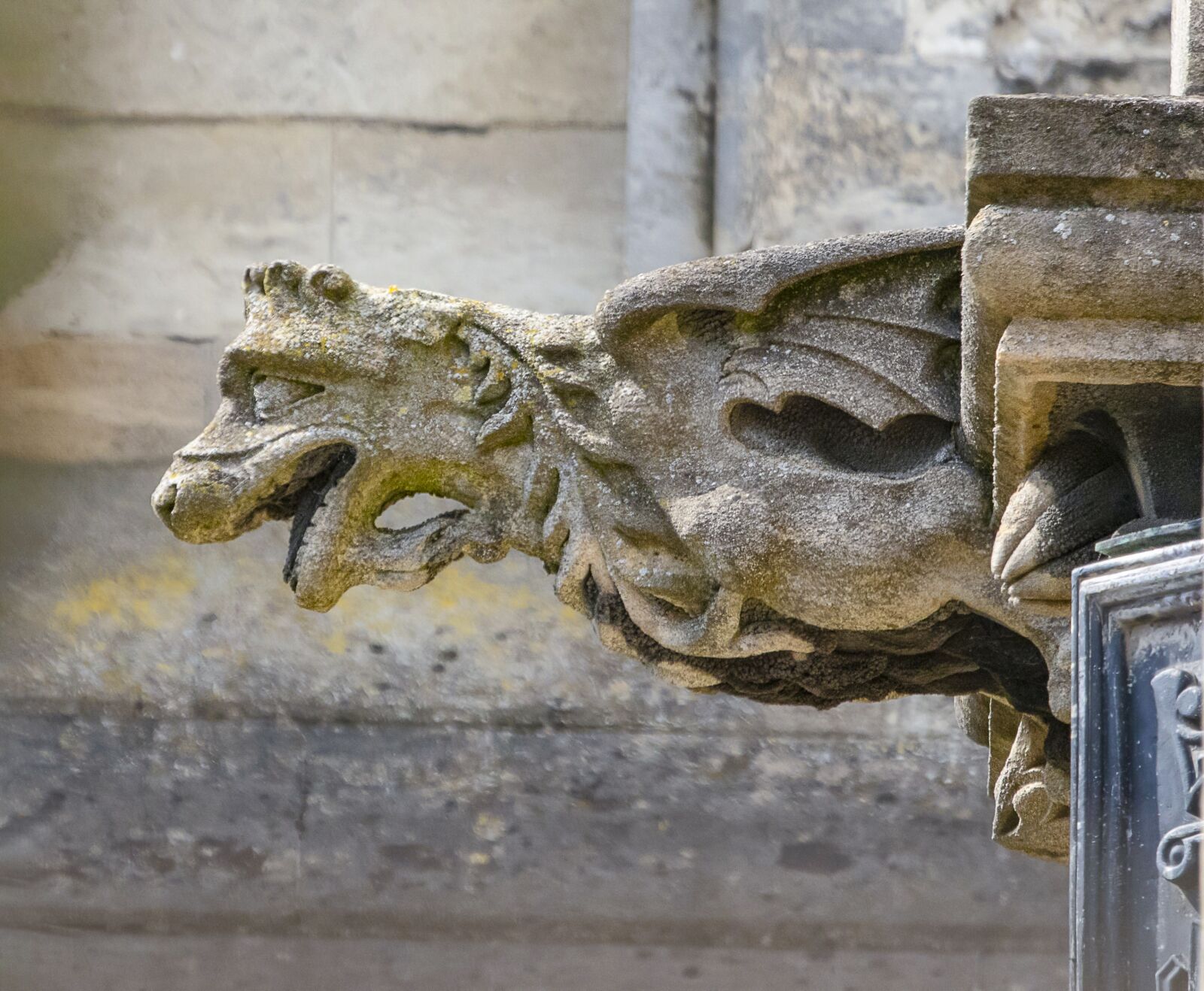 Sigma 100-400mm F5-6.3 DG OS HSM sample photo. Gargoyle, grotesque, cathedral photography