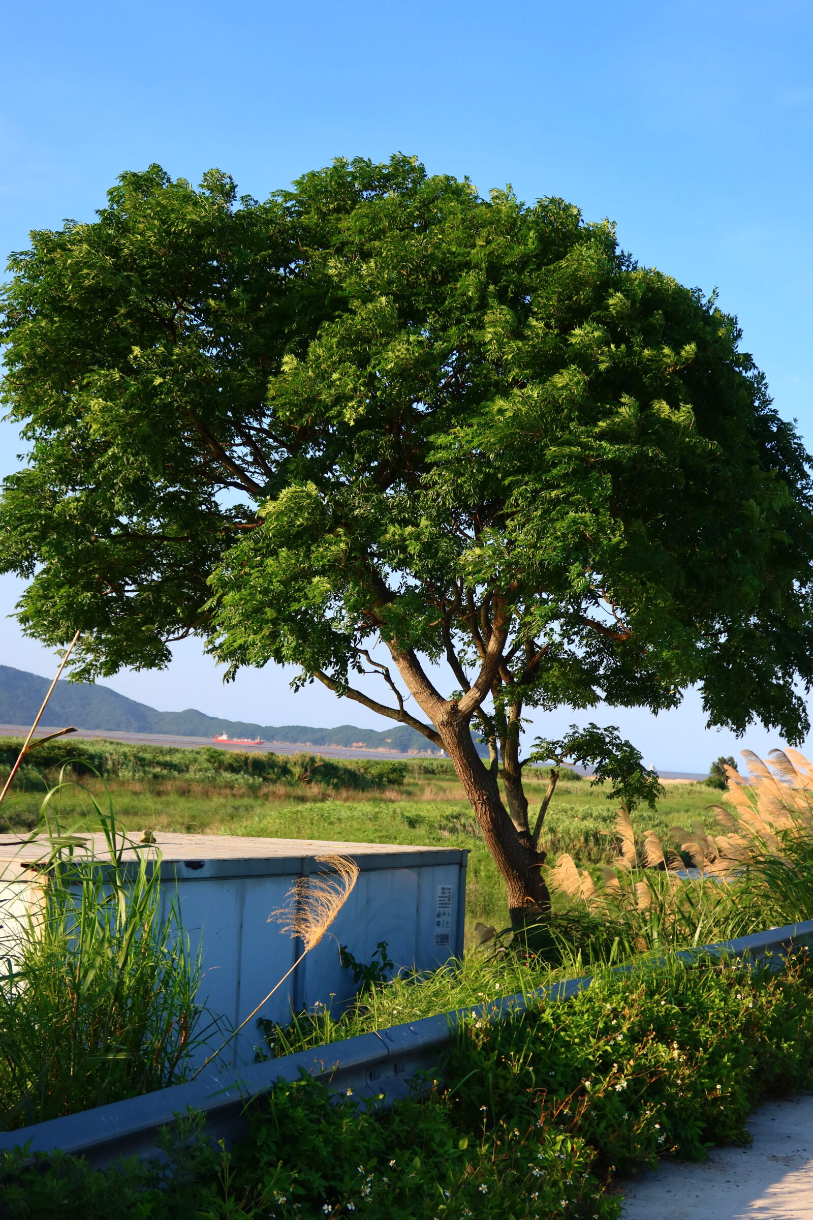 Canon PowerShot G7 X Mark III sample photo