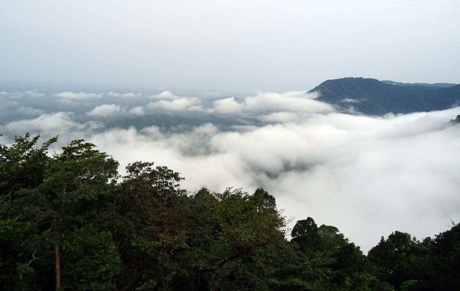 Sony DSC-HX60V sample photo. Rain forest, clouds, mountain photography