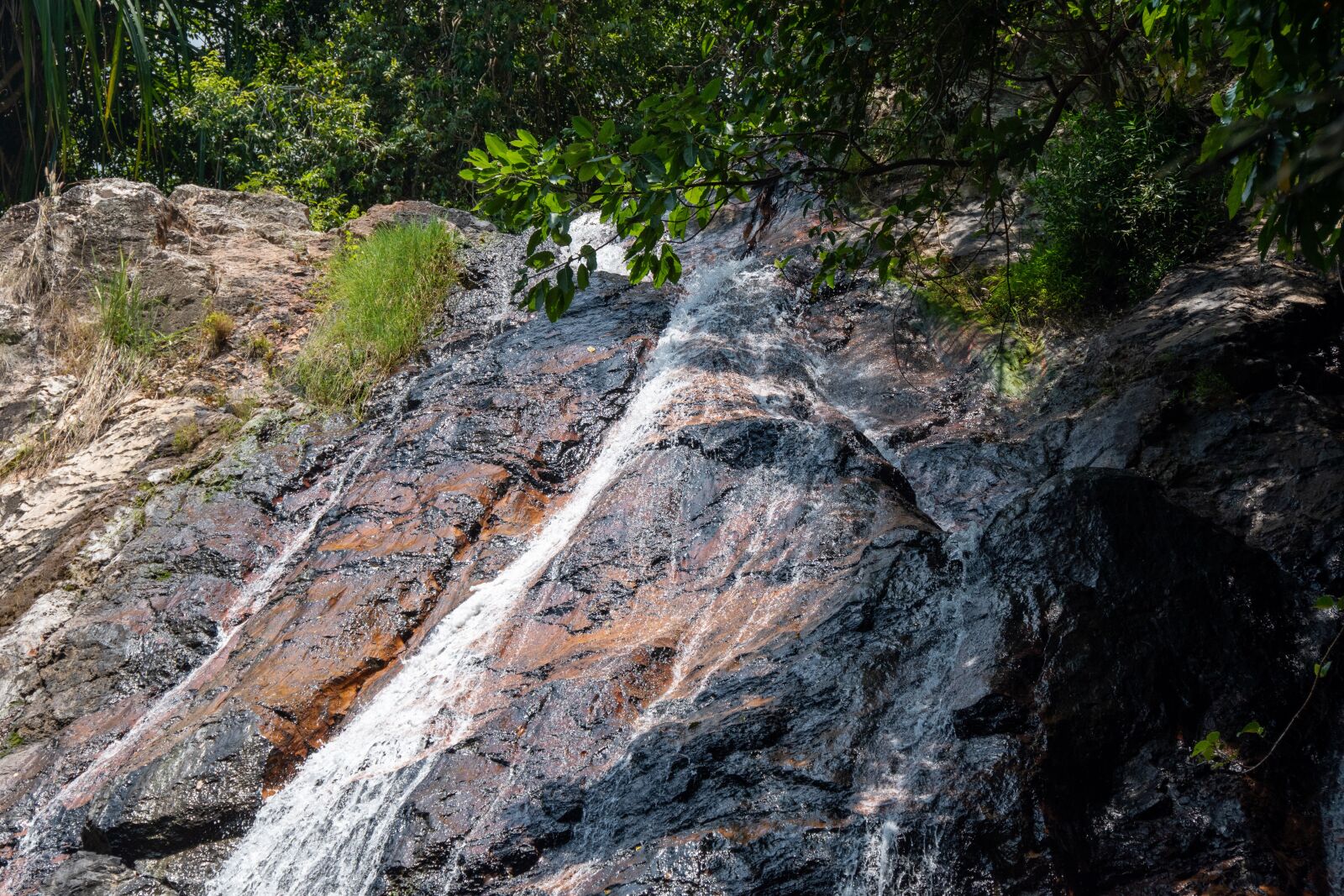 Nikon D5600 sample photo. Mountains, trees, rocks photography