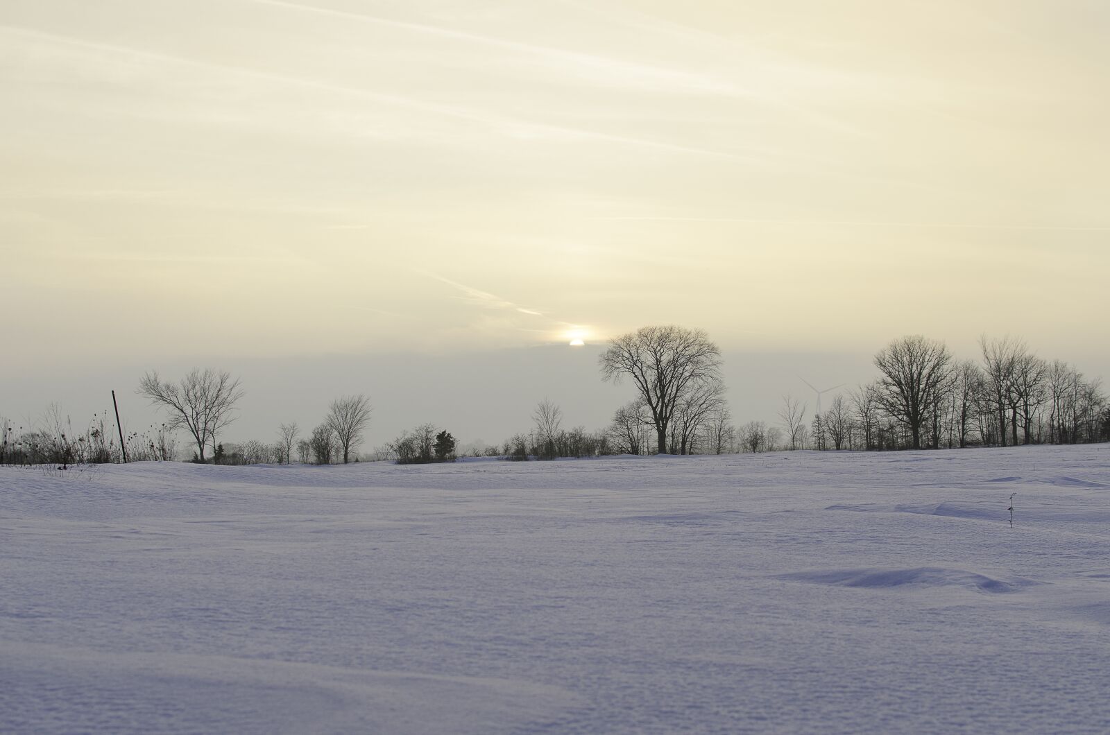 Nikon D7000 sample photo. Snow, trees, fog photography