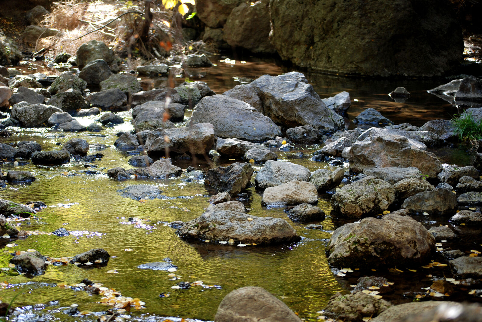 Nikon D80 sample photo. Brook, fall, nature, outside photography