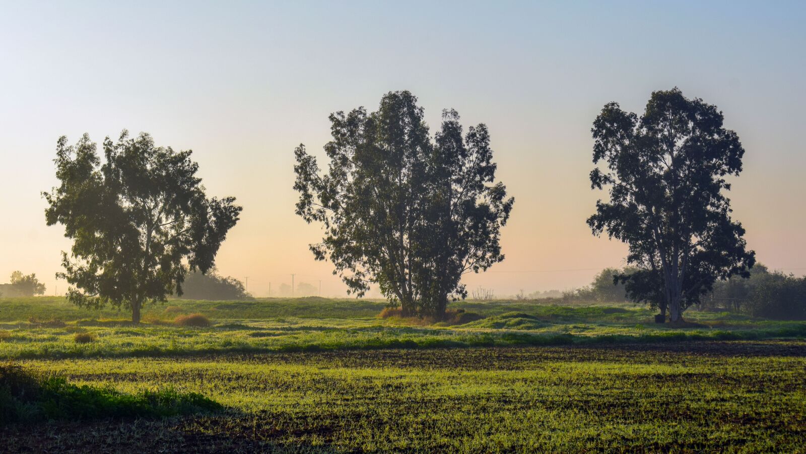 Nikon D3300 sample photo. Landscape, fog, misty photography