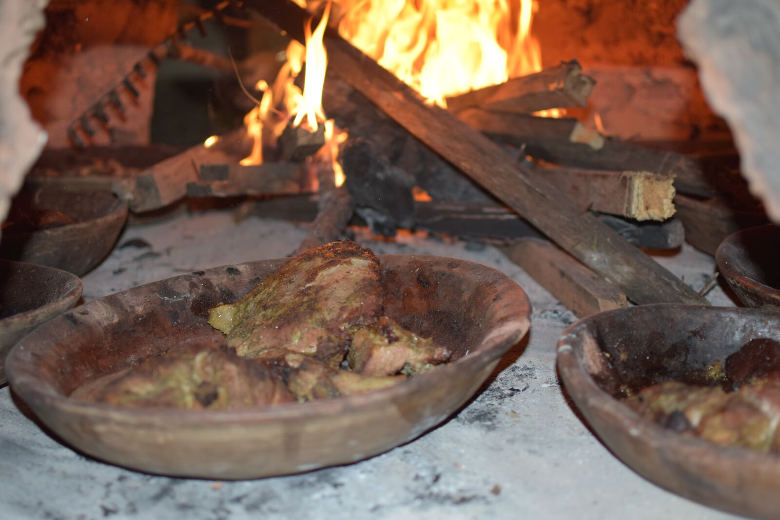 Nikon D5300 sample photo. A wood-burning oven, roast photography
