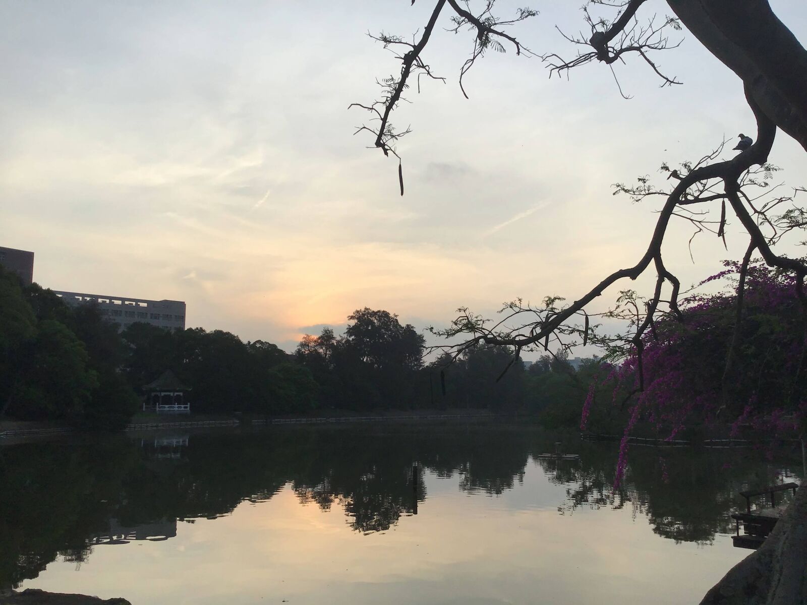 Apple iPad (6th generation) sample photo. Lake, sunrise, nature photography