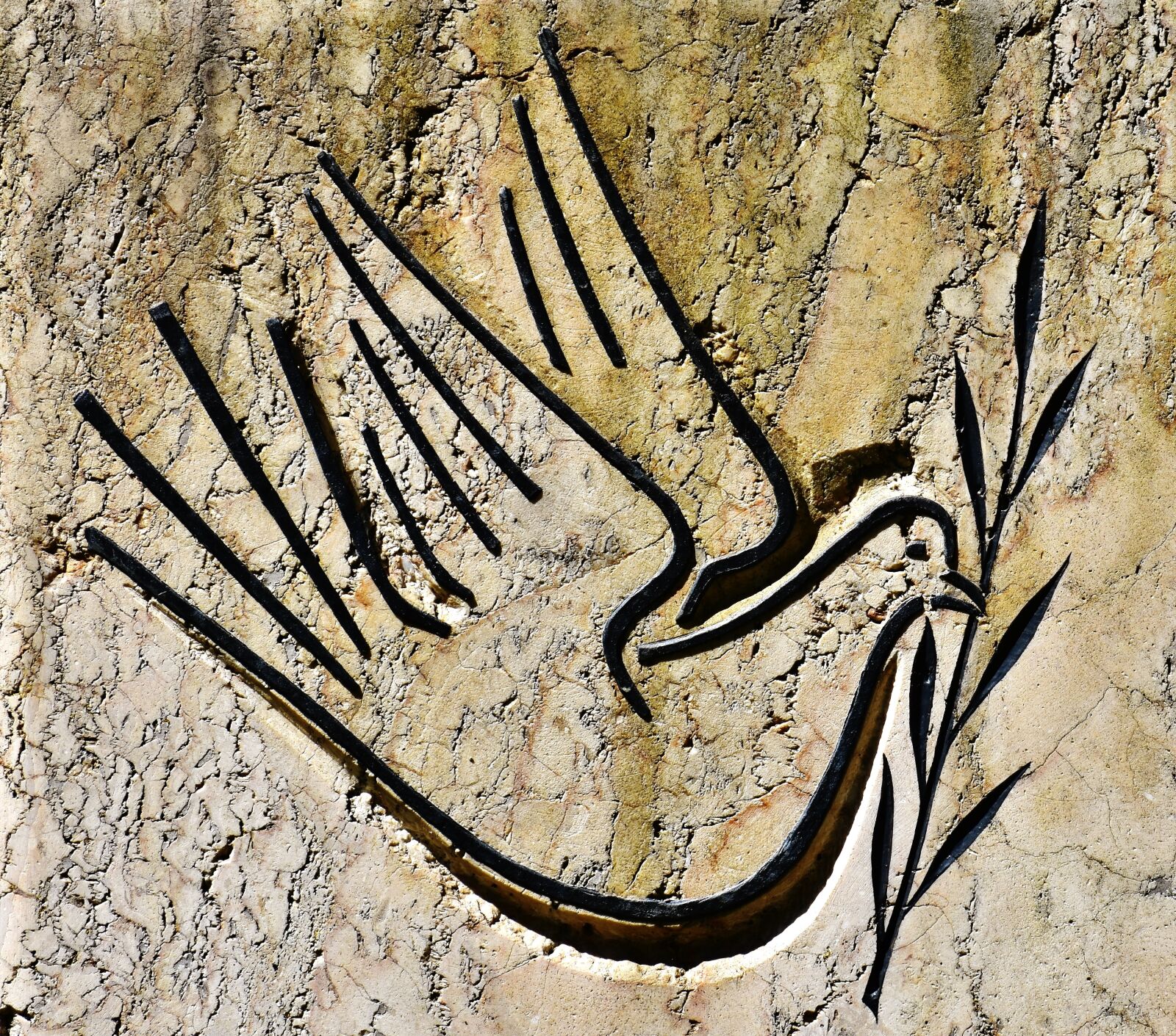 Nikon D7200 sample photo. Bird, abstract, stone wall photography