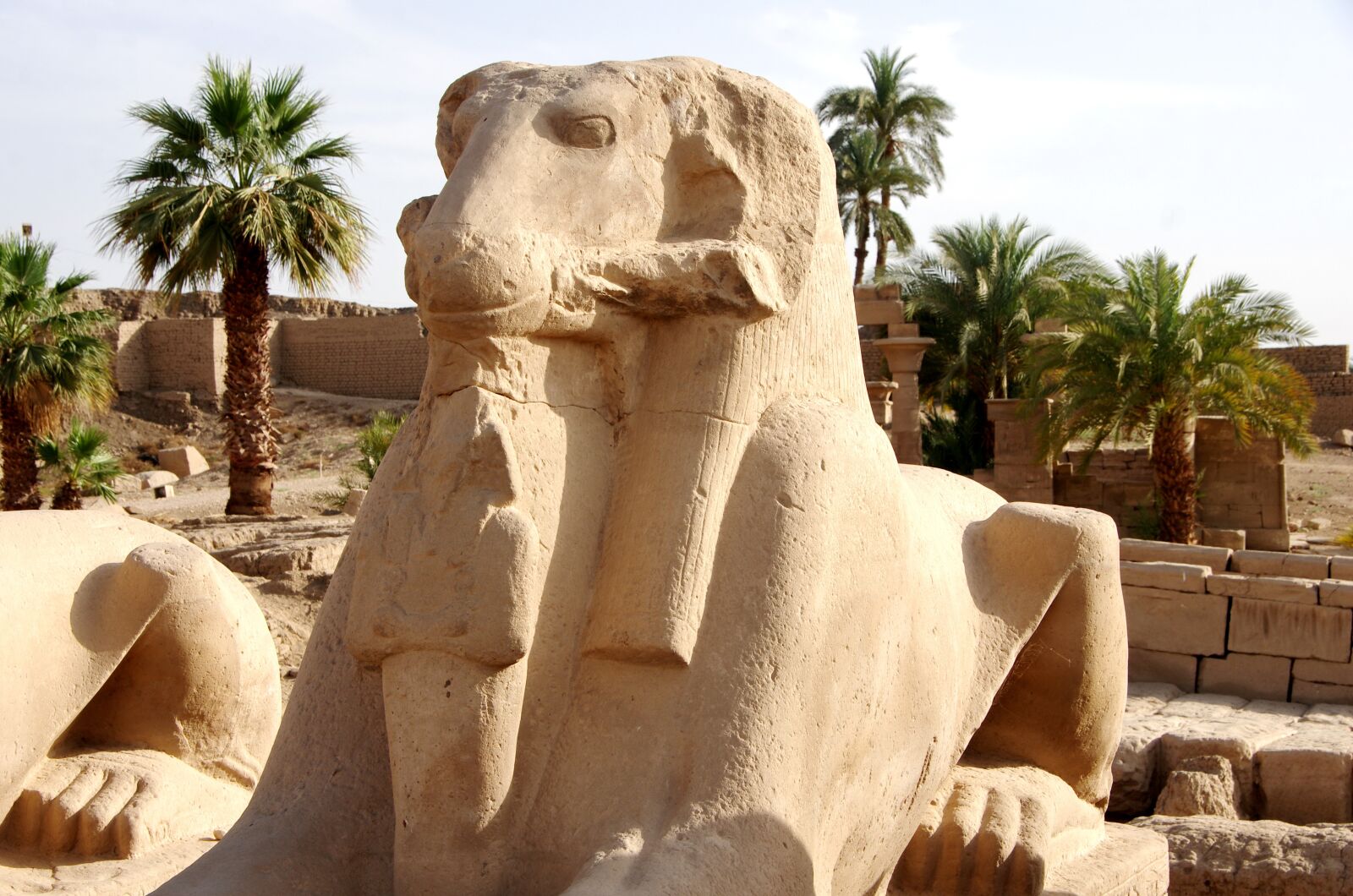 Pentax K-5 sample photo. Egypt, karnak, temple photography