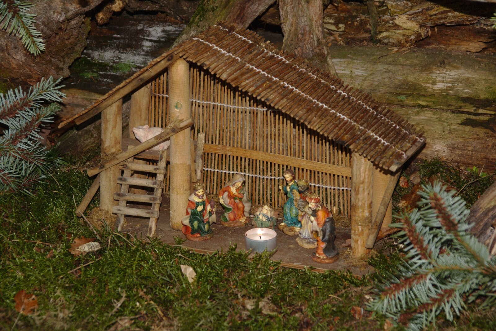 Canon EOS 750D (EOS Rebel T6i / EOS Kiss X8i) sample photo. Crib, krippenweg, jesus photography