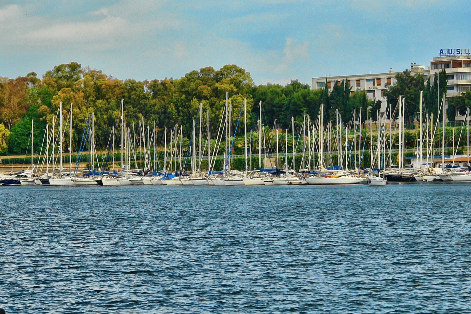 Sony DSC-R1 sample photo. Marina, boats, sailing photography