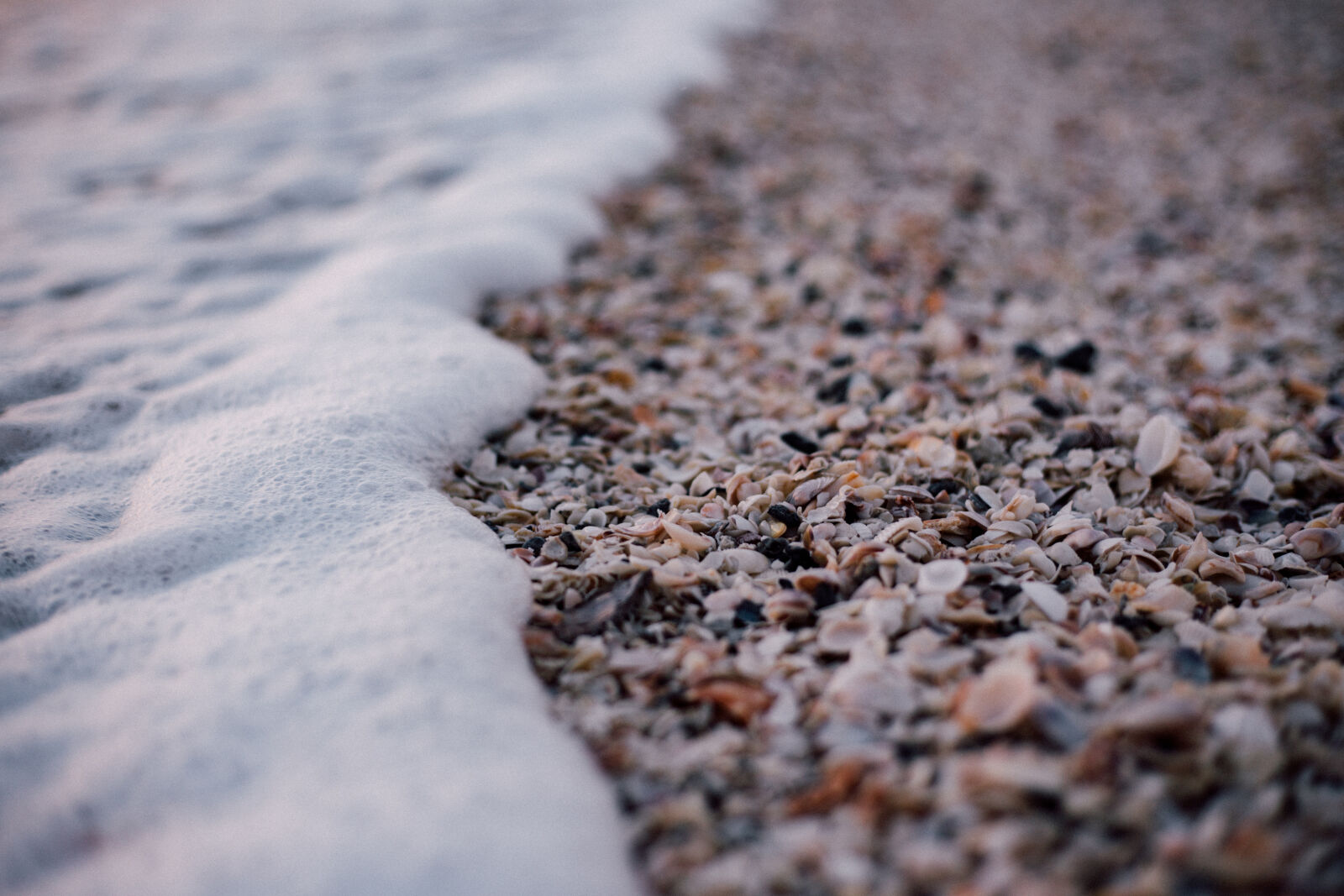 Canon EOS 6D + Canon EF 50mm F1.8 STM sample photo. Water, wave, shells, foam photography