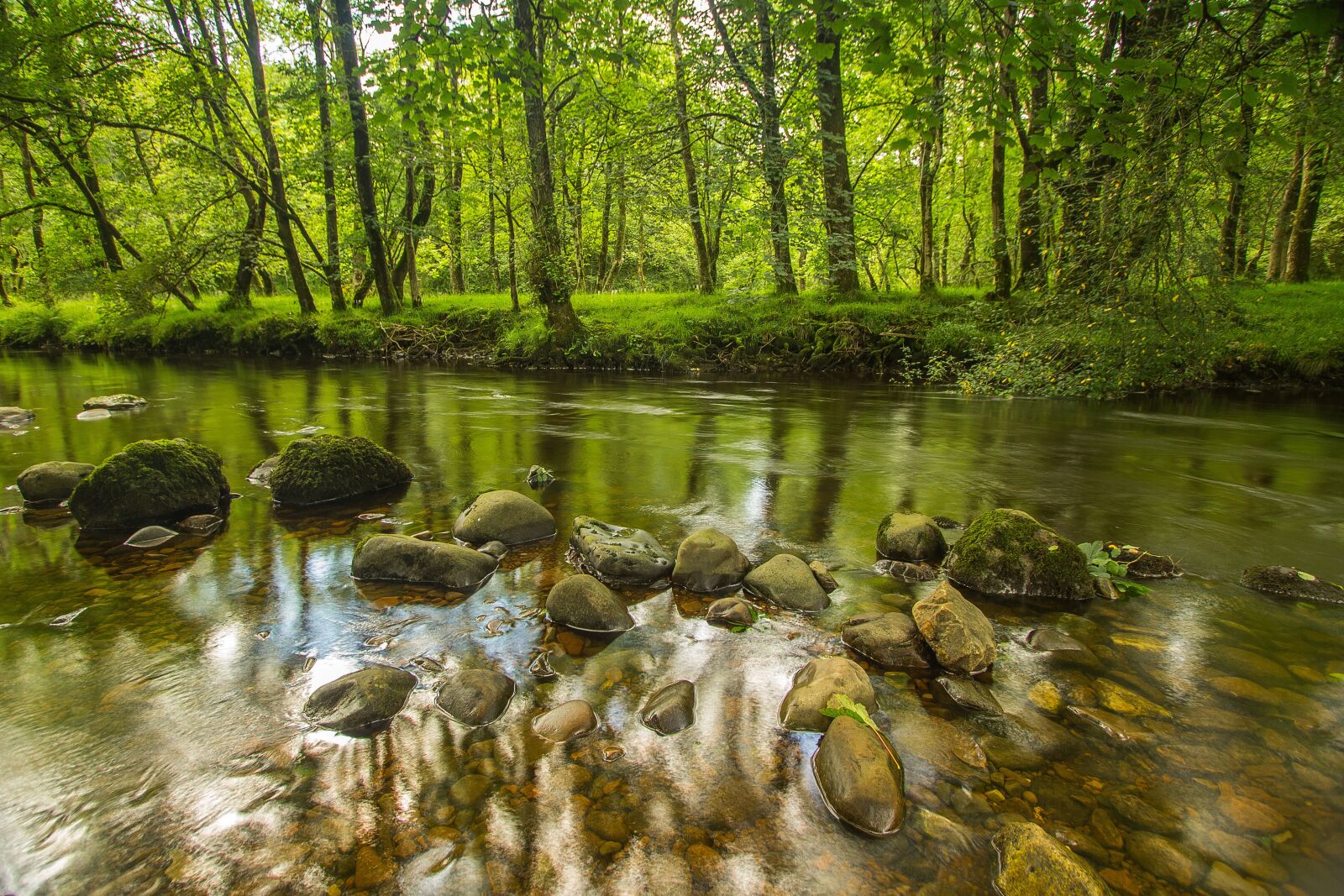 Canon EOS 60D sample photo. River, stones, trees photography