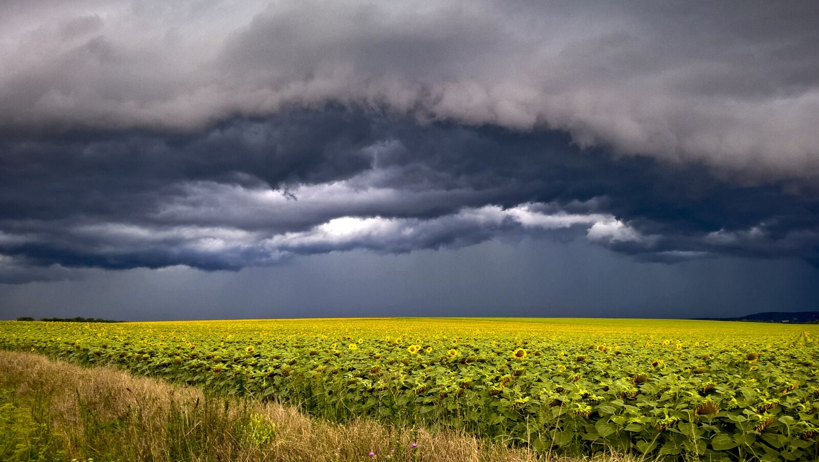 Microsoft Lumia 640 LTE sample photo. Storm, yellow, cloud photography