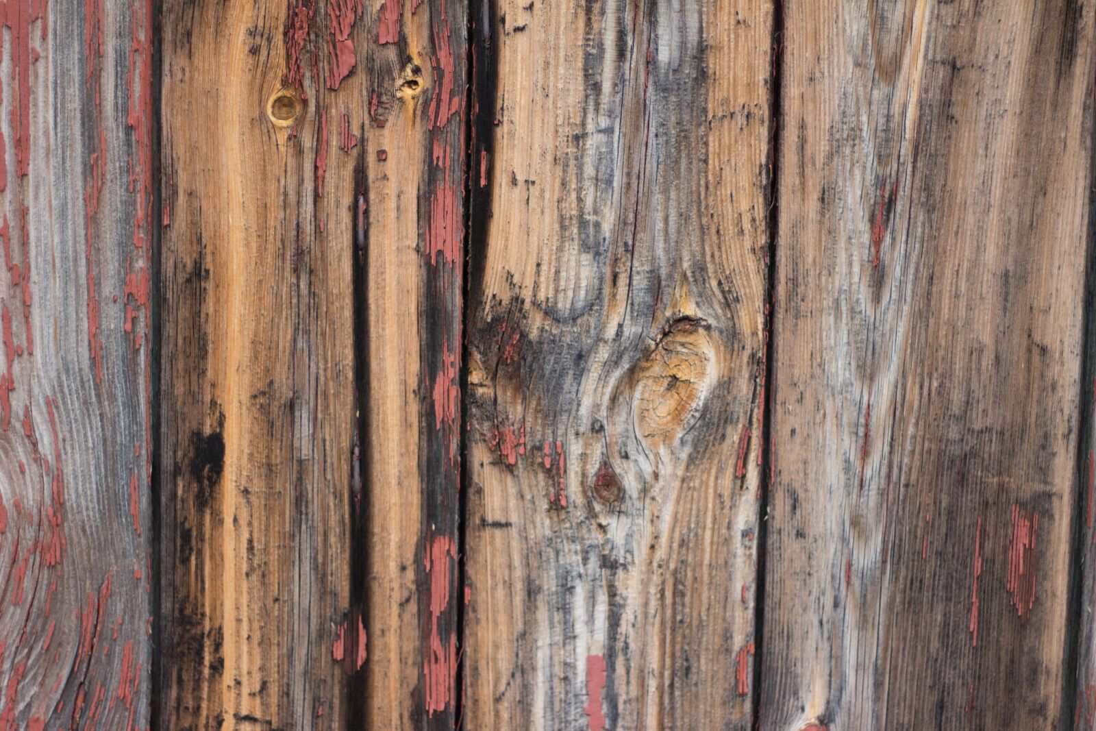 Canon EF 50mm F1.8 STM sample photo. Wood, wall, texture photography