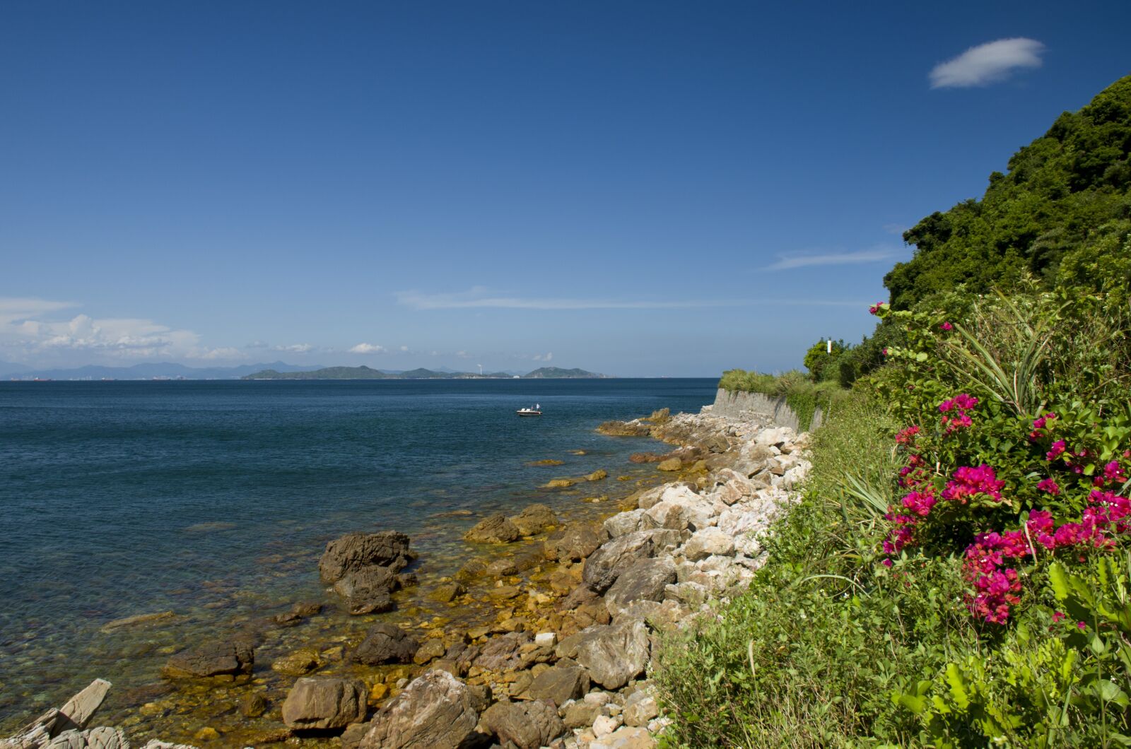 Nikon D7000 sample photo. Flower, alpine, hills photography