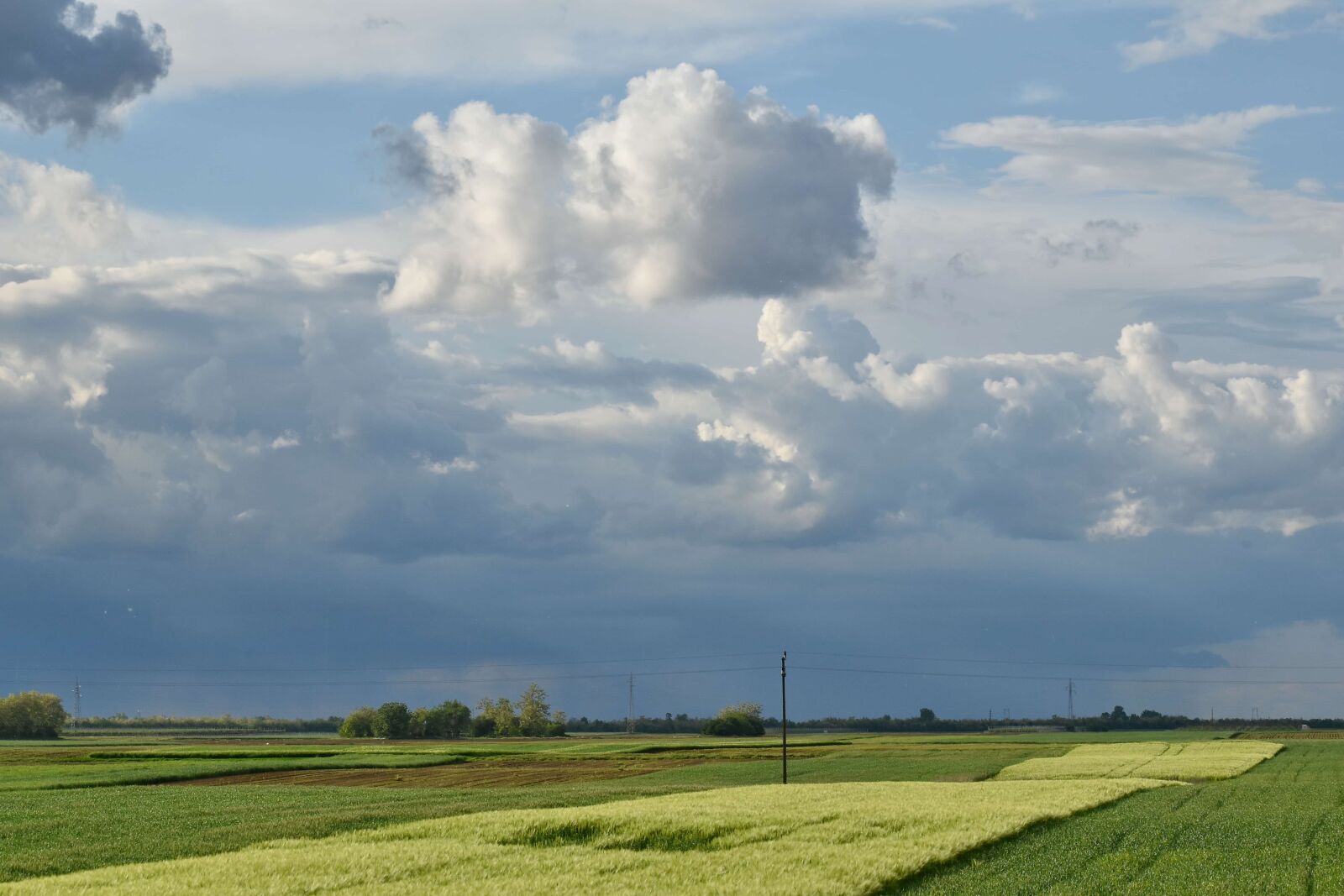 Nikon D5500 sample photo. Agriculture, wheatfield, cloud, field photography