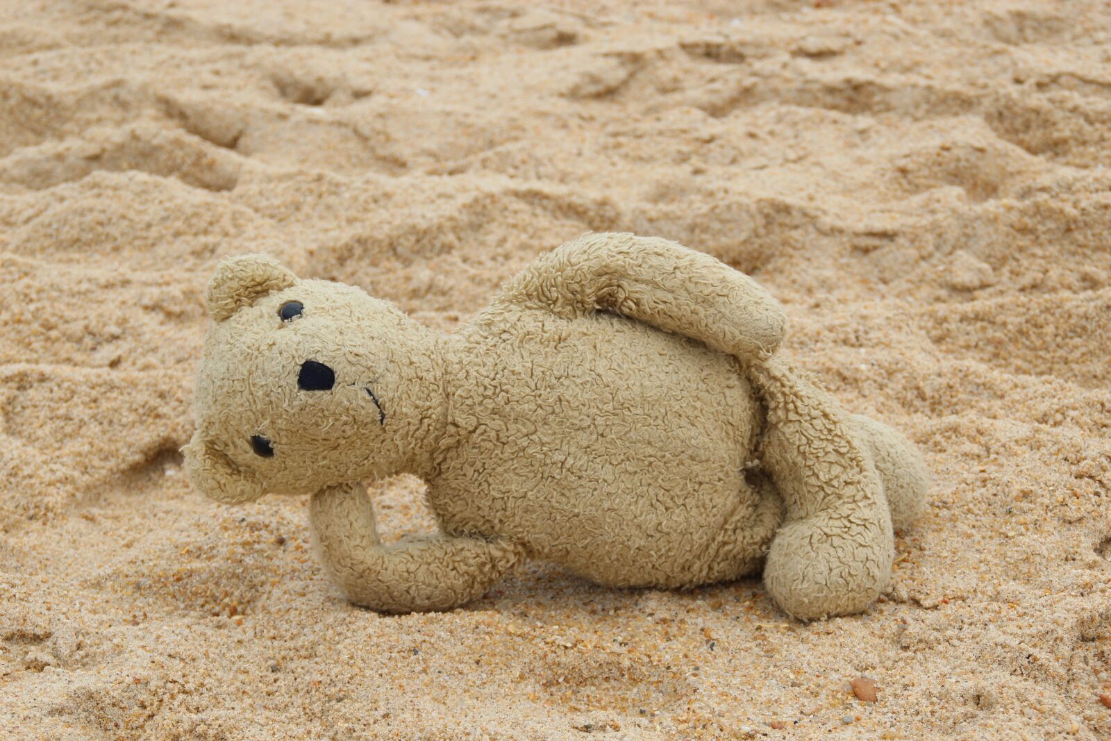 Canon EOS 1200D (EOS Rebel T5 / EOS Kiss X70 / EOS Hi) sample photo. Teddy, bear, beach photography