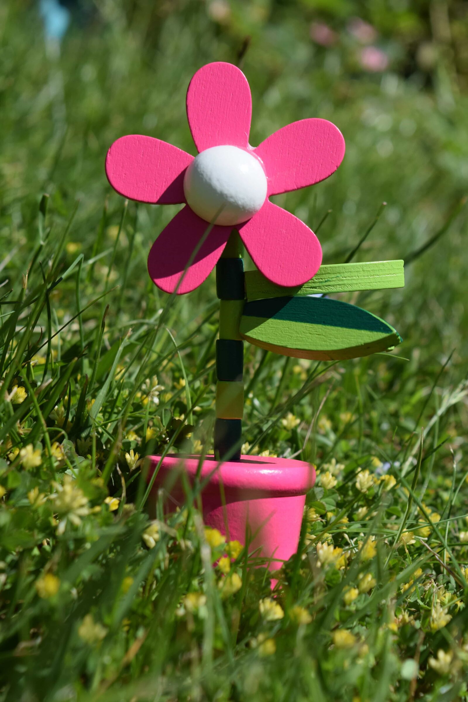 Nikon D3300 sample photo. Figure, grass, flower, pink photography