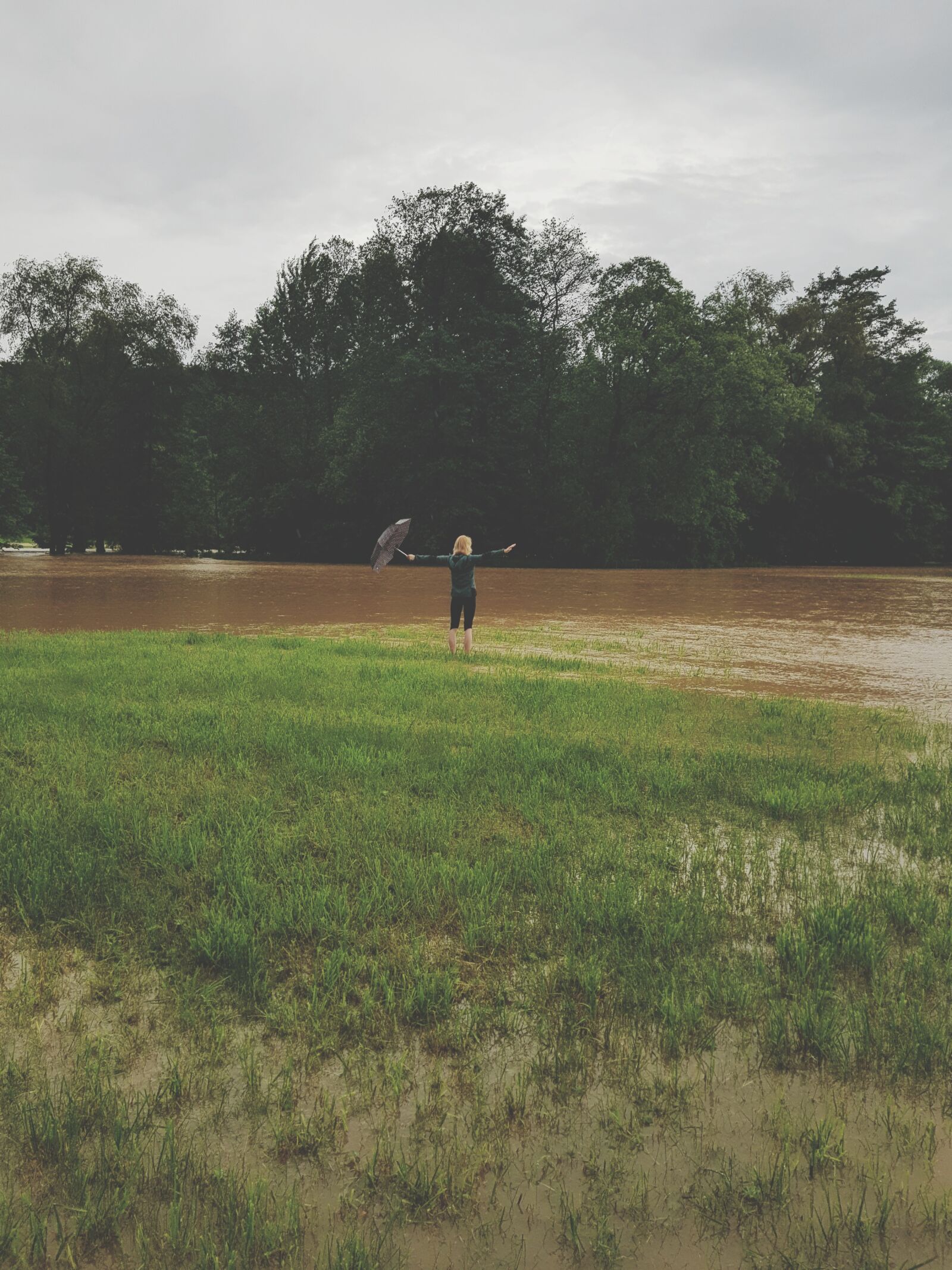 Samsung Galaxy S8 sample photo. Rain, water, gras photography
