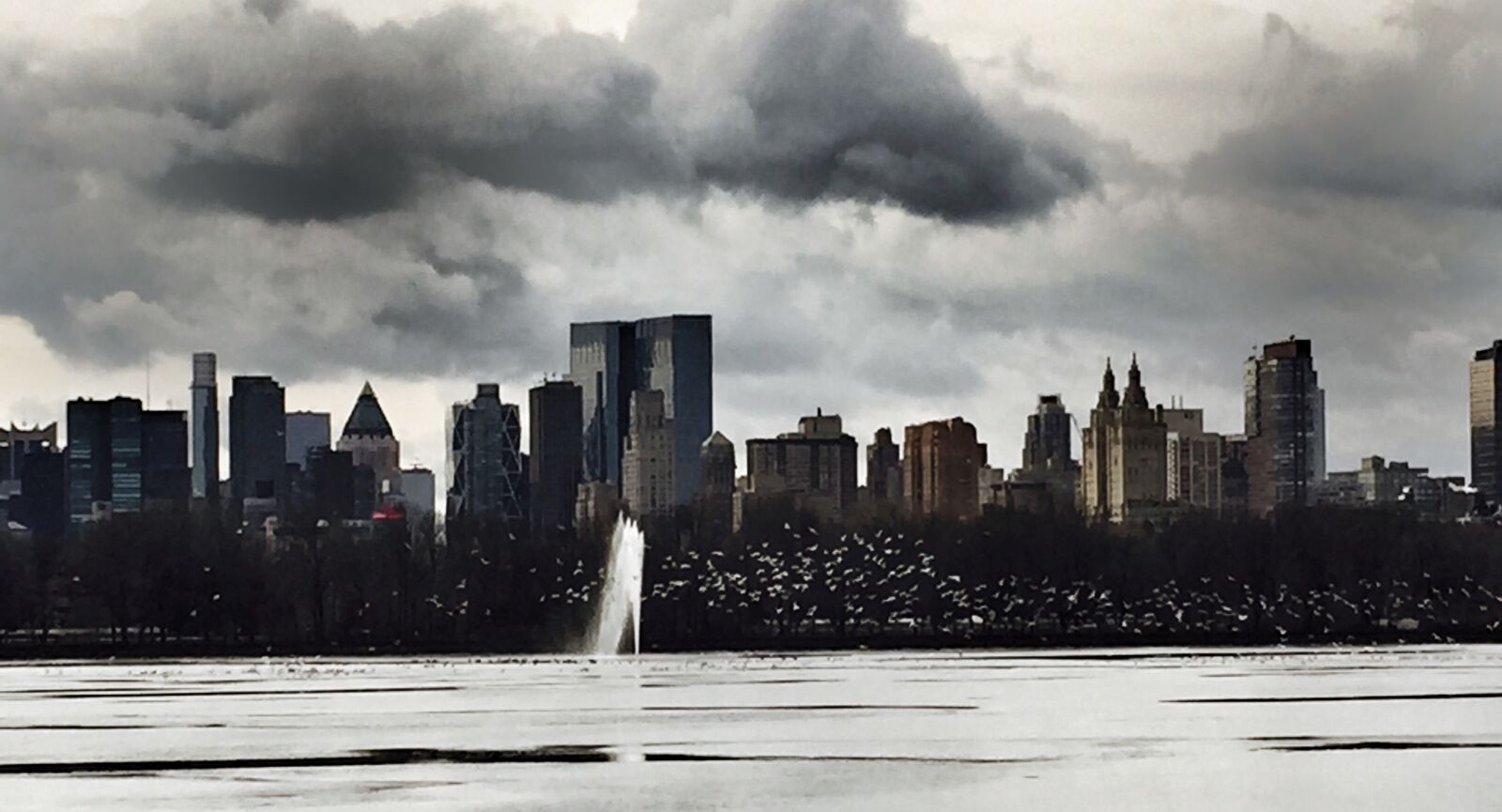 iPhone 6 back camera 4.15mm f/2.2 sample photo. Central, park, new, york photography