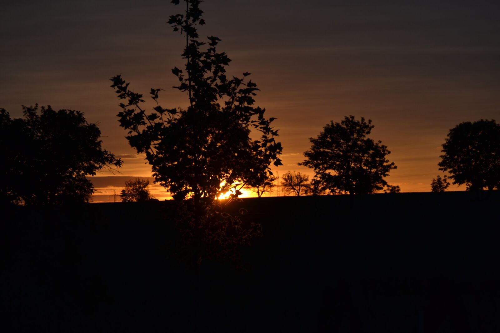 Nikon D3100 sample photo. Sunset, trees, horizon photography