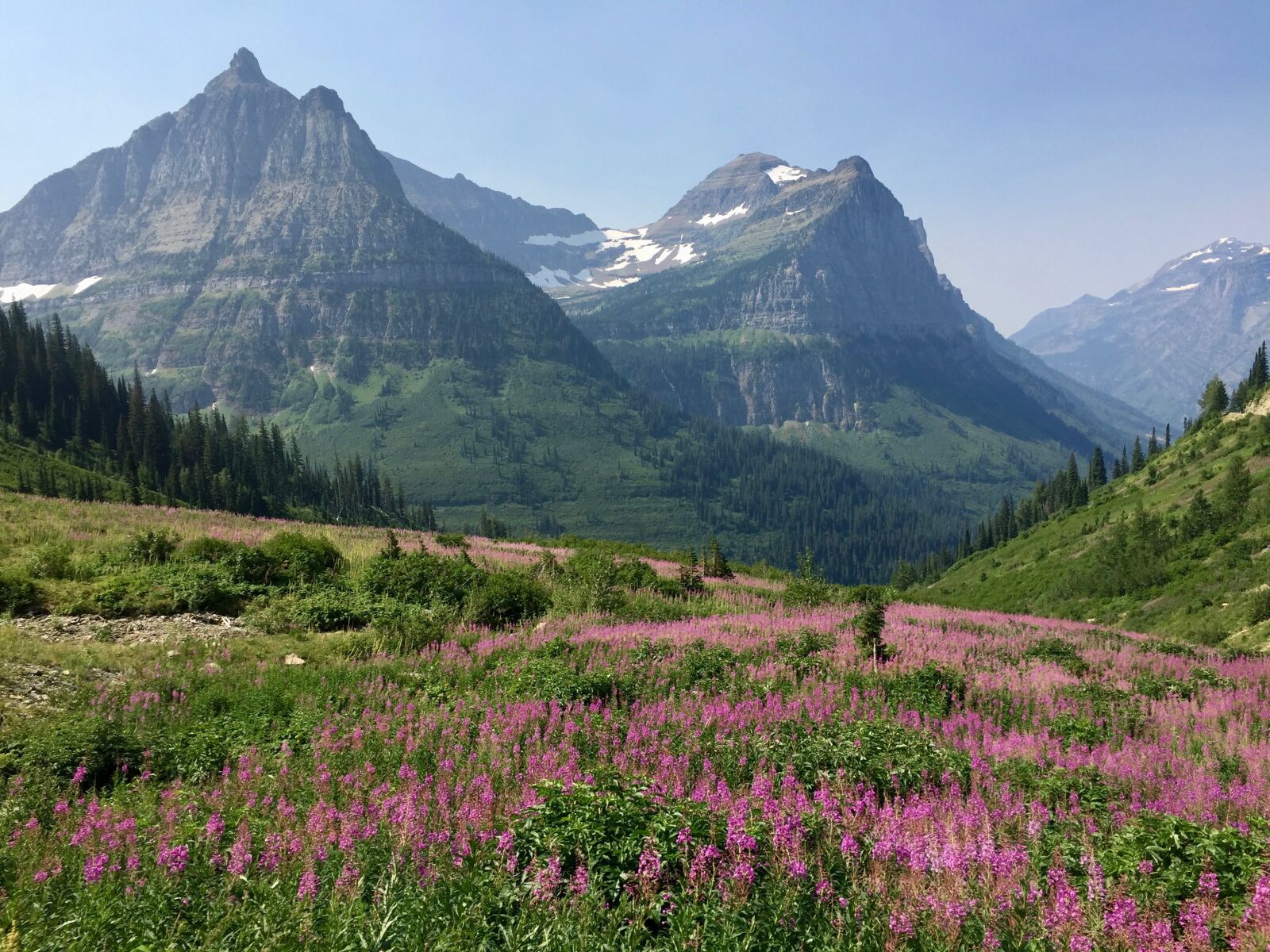 Apple iPhone 6 sample photo. Mountains, meadow, glacier national photography