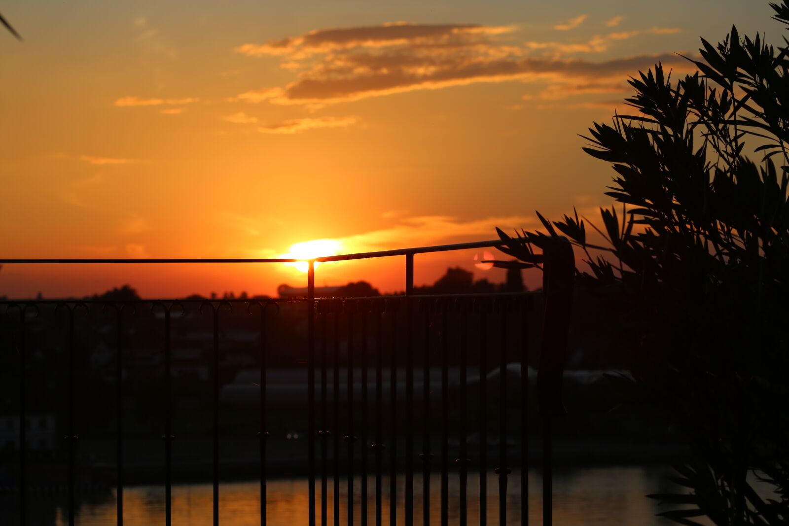 Canon EF 100-400mm F4.5-5.6L IS USM sample photo. Evening, mood, light photography