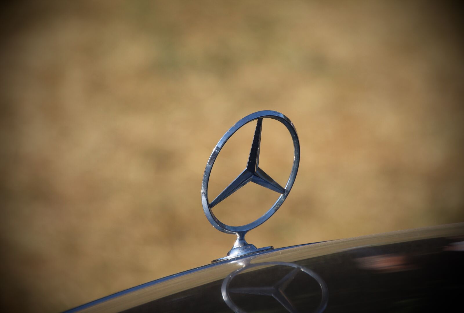 Canon EOS 650D (EOS Rebel T4i / EOS Kiss X6i) sample photo. Mercedes-star, star, mercedes photography