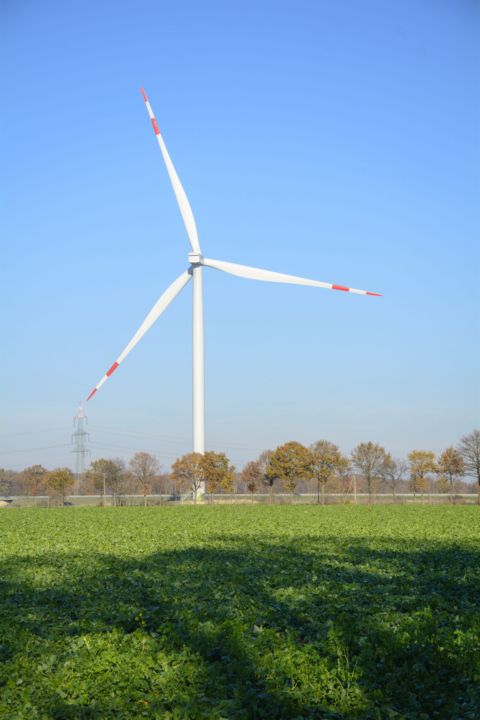 Nikon D7100 sample photo. Pinwheel, current, power generation photography