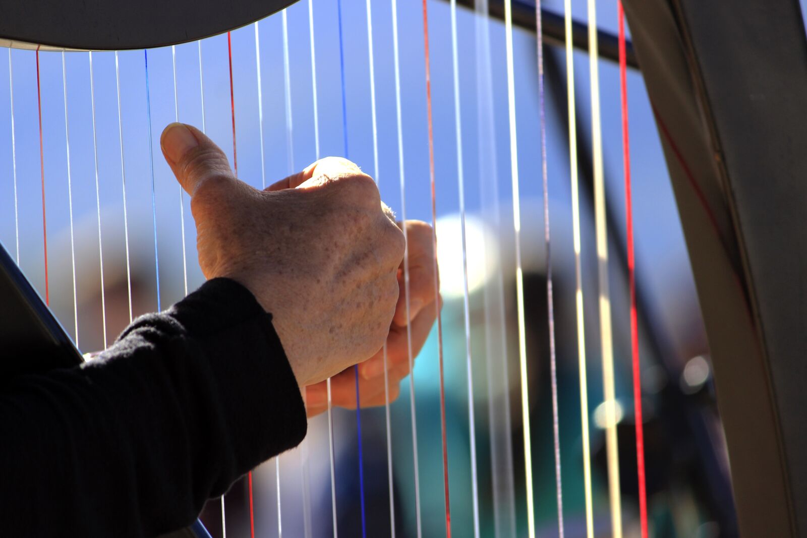 Canon EOS 600D (Rebel EOS T3i / EOS Kiss X5) sample photo. Harp, instrument, music photography