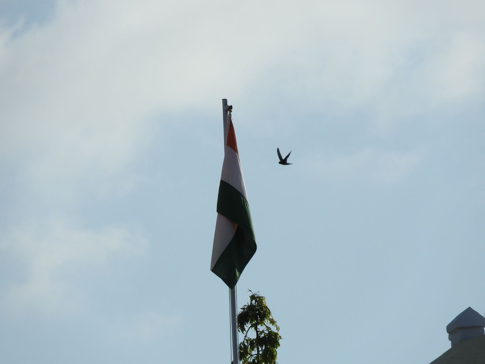Nikon Coolpix P610 sample photo. Bird, india, avian photography
