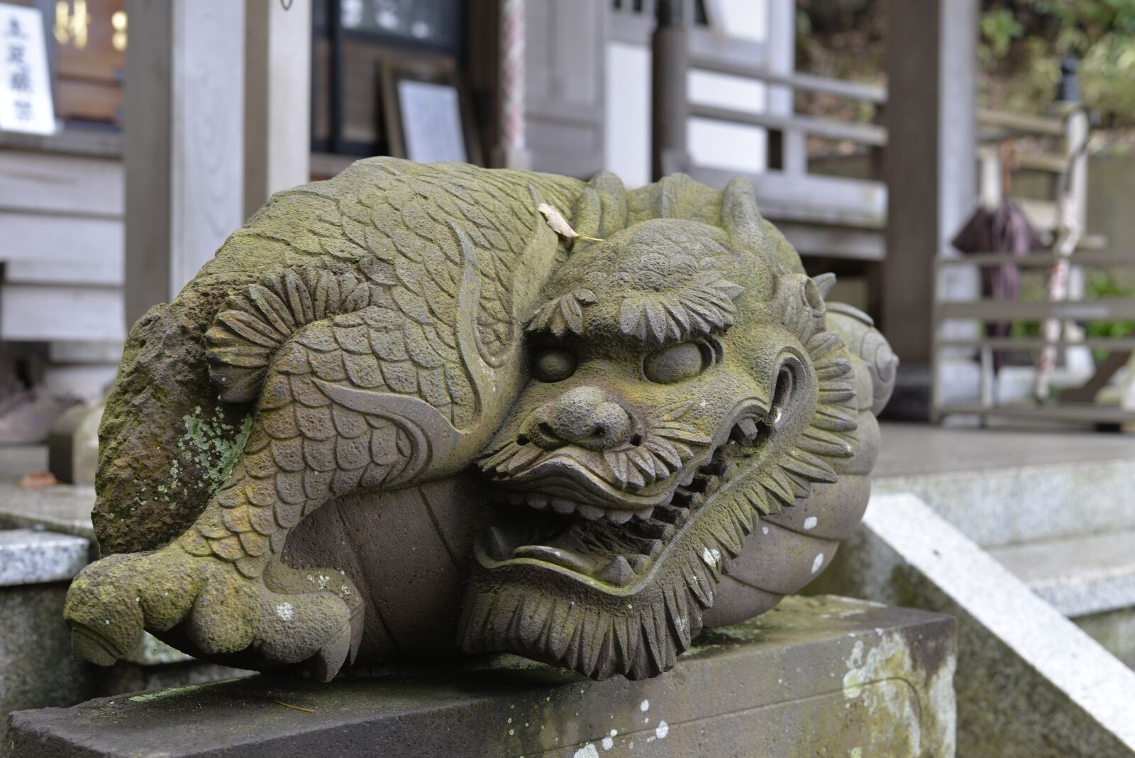Nikon D610 sample photo. Japan, travel, asia photography