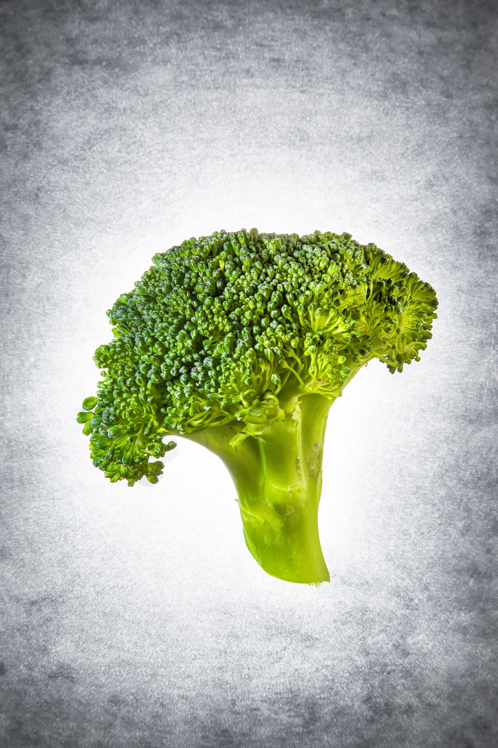 Canon EOS 5D Mark II + Canon EF 24-105mm F4L IS USM sample photo. Broccoli, silhouette, green photography