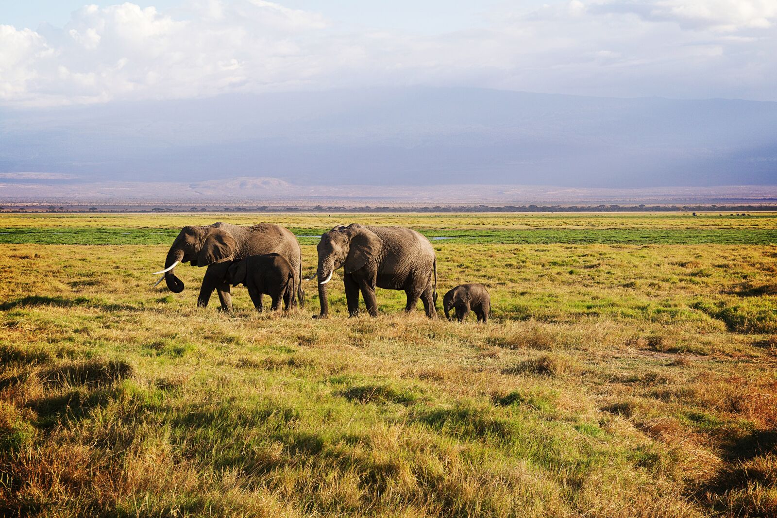 Canon EOS 600D (Rebel EOS T3i / EOS Kiss X5) sample photo. Africa, park, national park photography