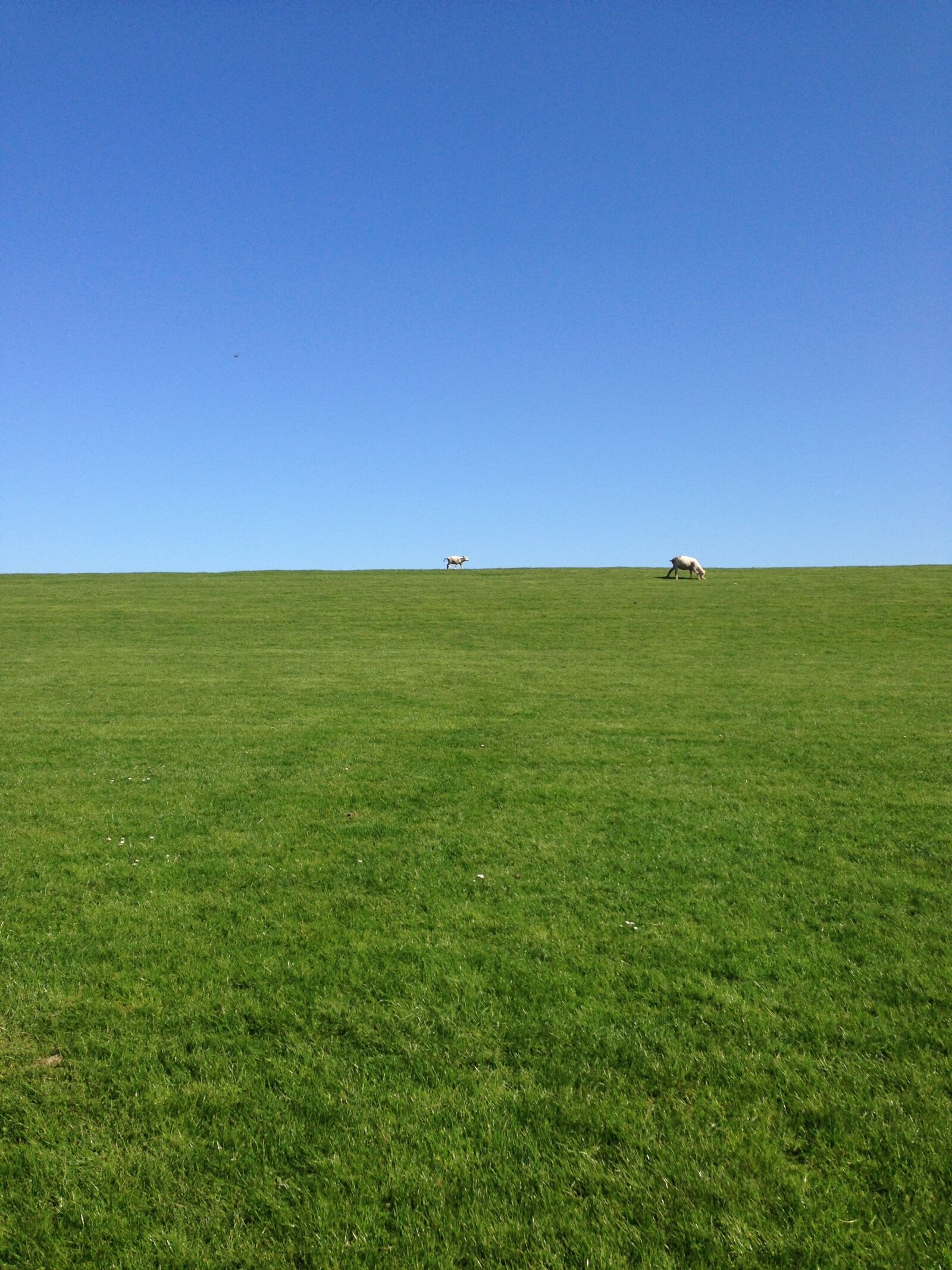 Apple iPhone 5 sample photo. Sky, grass, dike photography