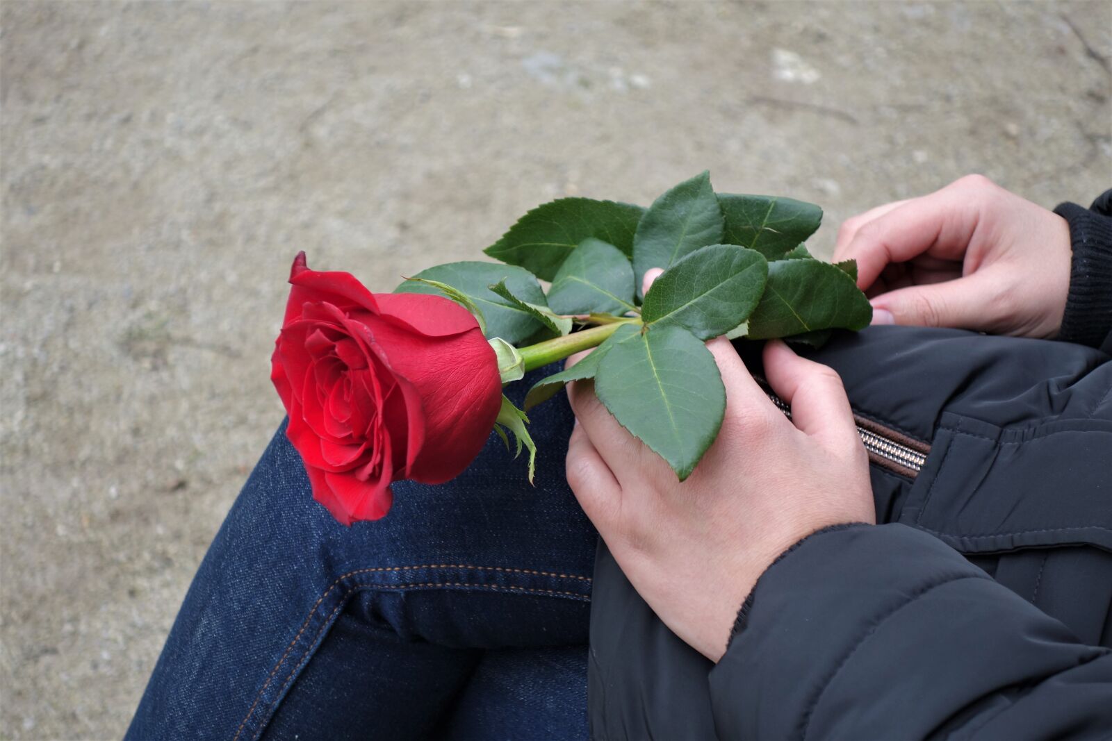 Sony Cyber-shot DSC-RX100 II sample photo. Girl with red rose photography