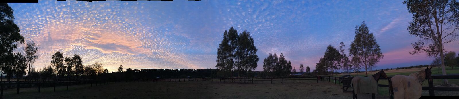 iPhone 5s back camera 4.12mm f/2.2 sample photo. Sunset, trees, evening photography