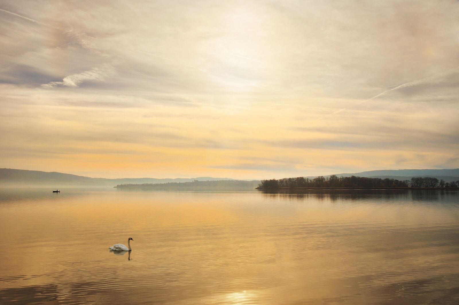 Nikon D90 sample photo. Swan, lake constance, lake photography