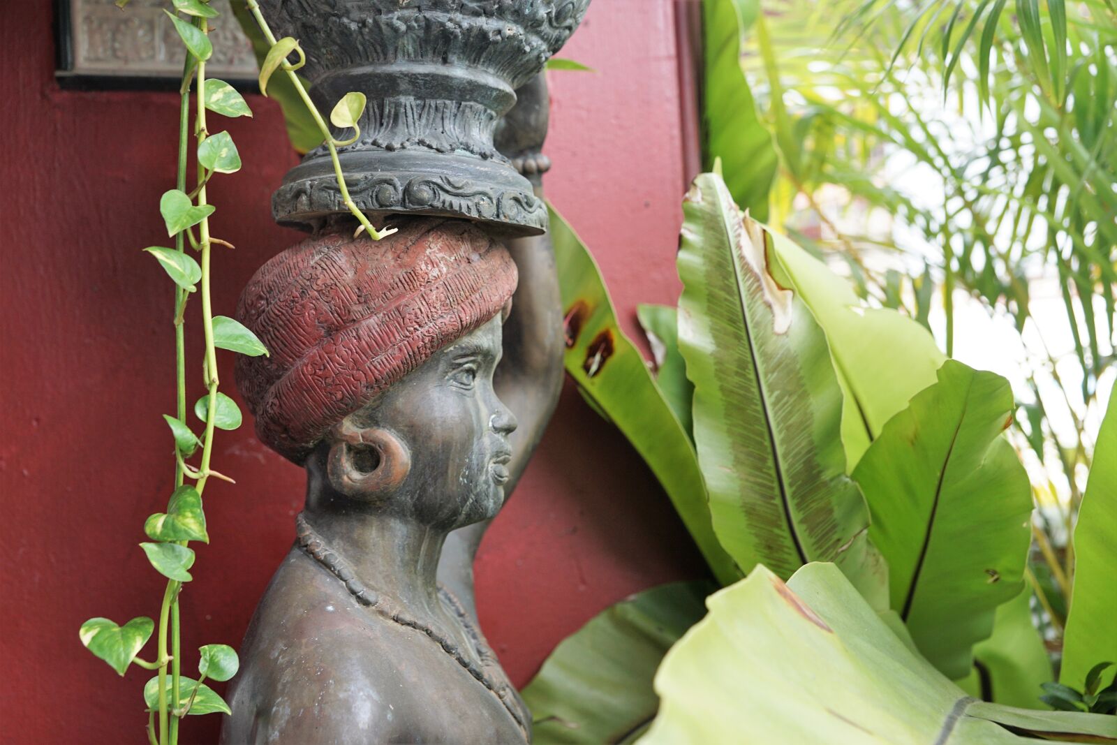 Sony ILCA-77M2 + Sony DT 16-50mm F2.8 SSM sample photo. Nature, leaf, art photography
