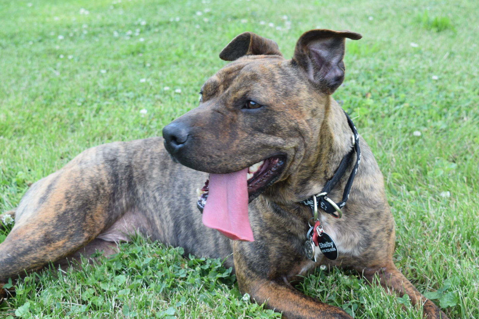 Nikon D3300 sample photo
