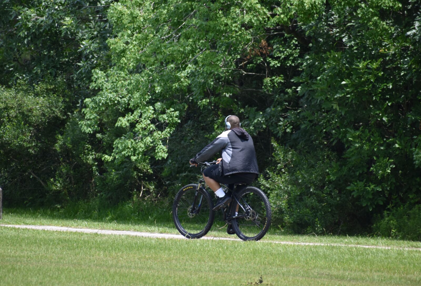 Nikon D3500 sample photo. Bicyclist, bike riding, mountain photography