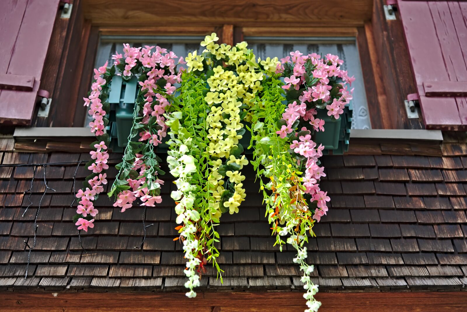 Nikon D750 sample photo. Window, floral decorations, shutters photography