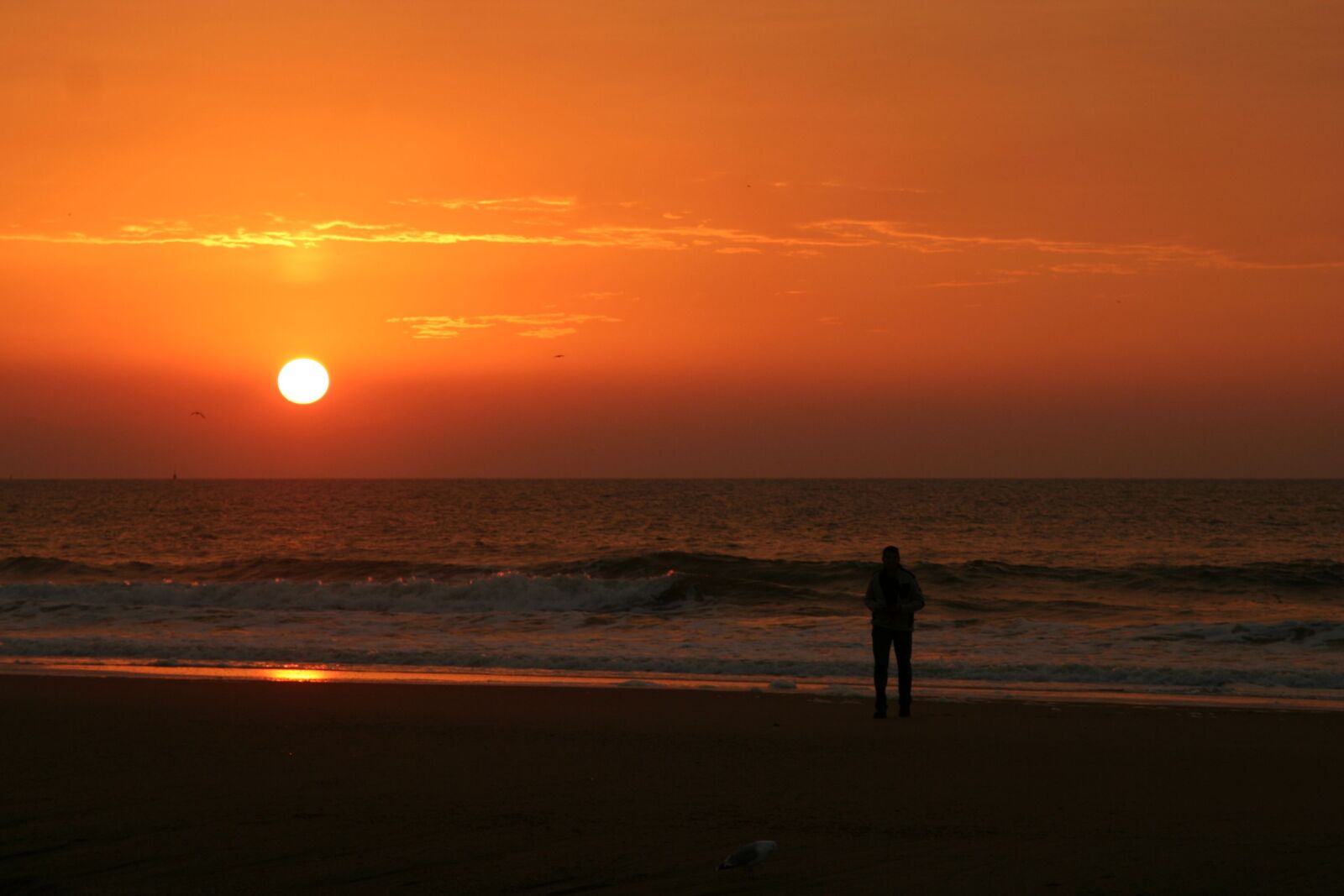 Canon EOS 350D (EOS Digital Rebel XT / EOS Kiss Digital N) sample photo. Beach, sunset, den-haag photography