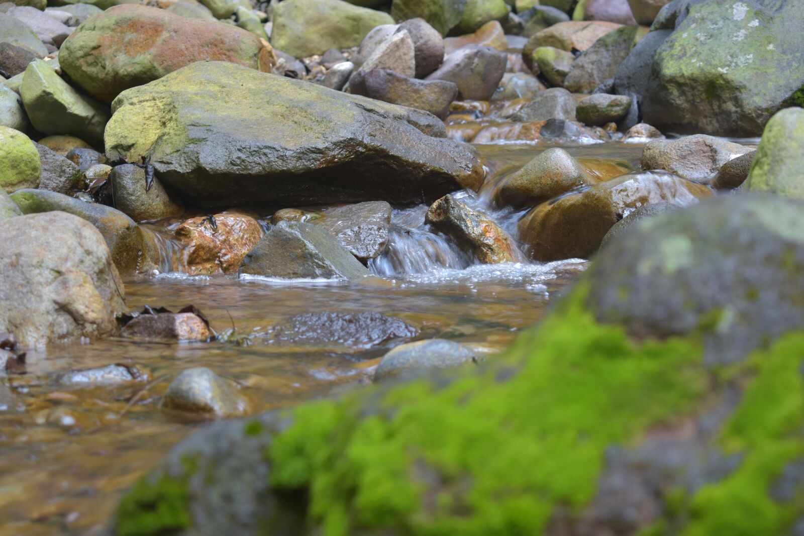 Nikon D3400 sample photo. Moss, creek, stream photography