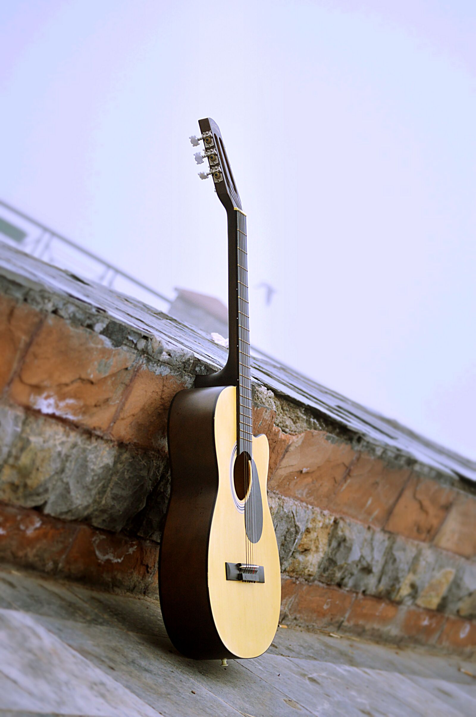 Nikon D3200 sample photo. Guitar, fog, birds photography
