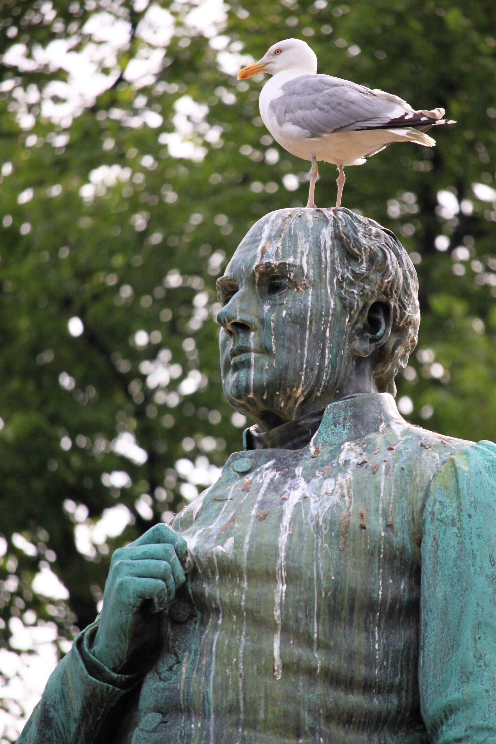 Canon EOS 500D (EOS Rebel T1i / EOS Kiss X3) sample photo. Gull, statue, bird droppings photography