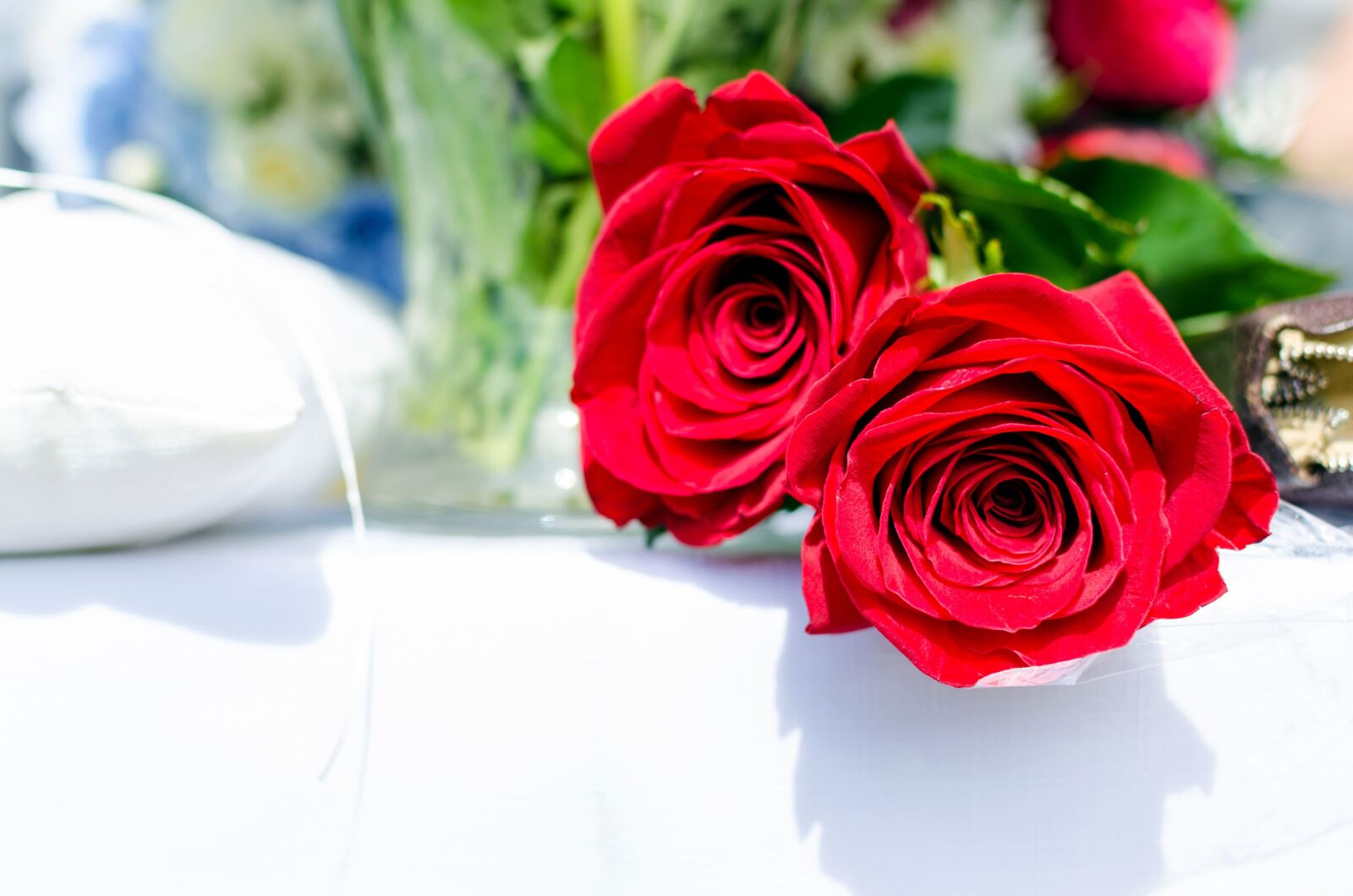 Nikon D5100 sample photo. Flora, rose, romantic, flowers photography