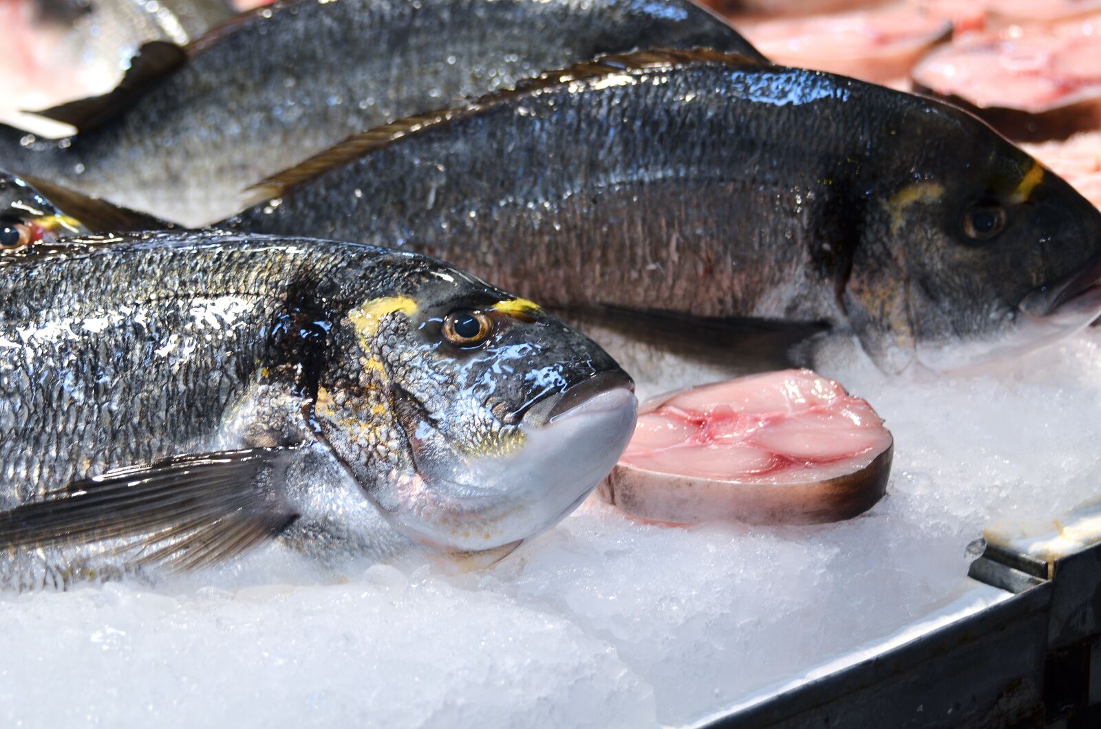 Nikon D7000 sample photo. Food, meat, fish photography