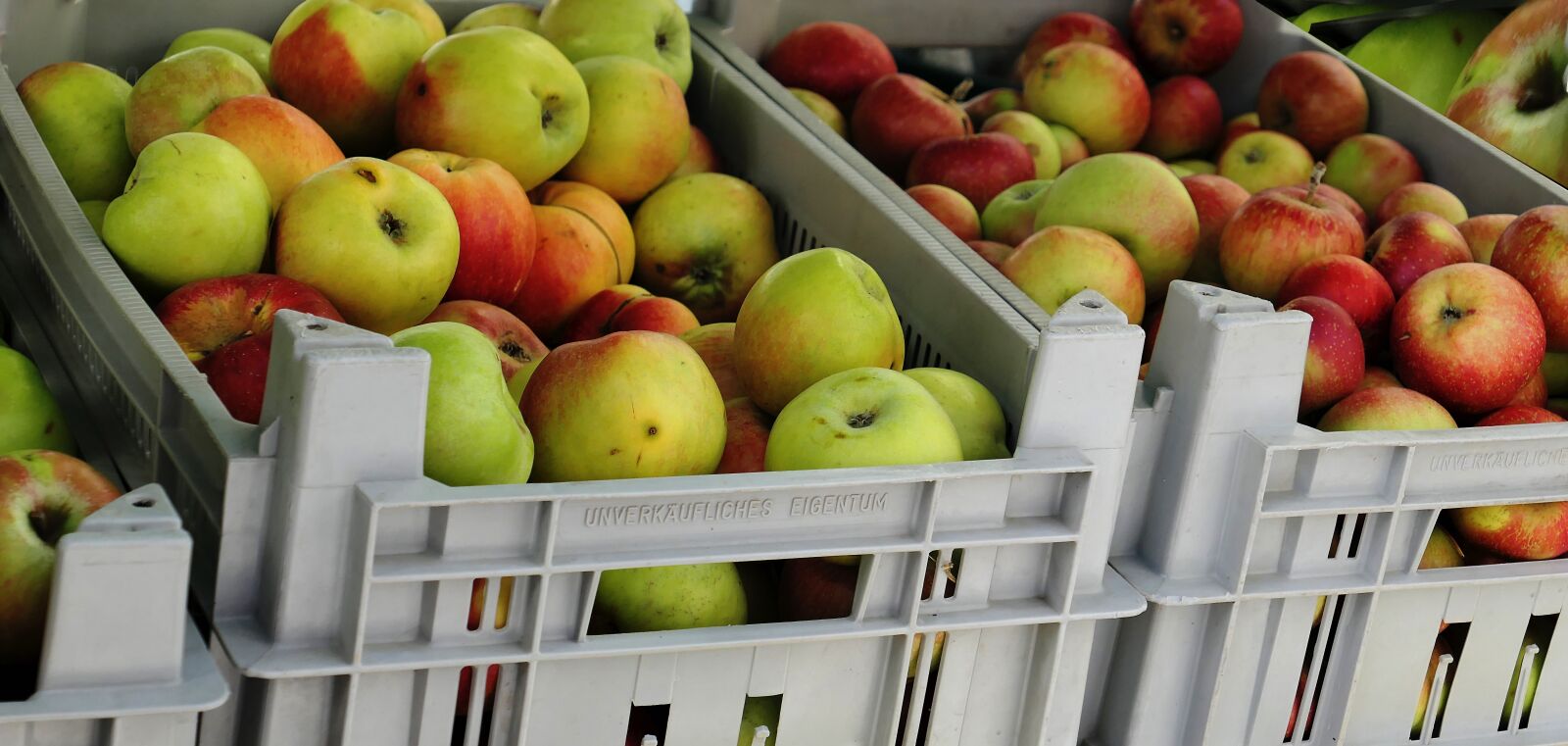Panasonic Lumix DMC-LX10 (Lumix DMC-LX15) sample photo. Apple, apple juice, autumn photography