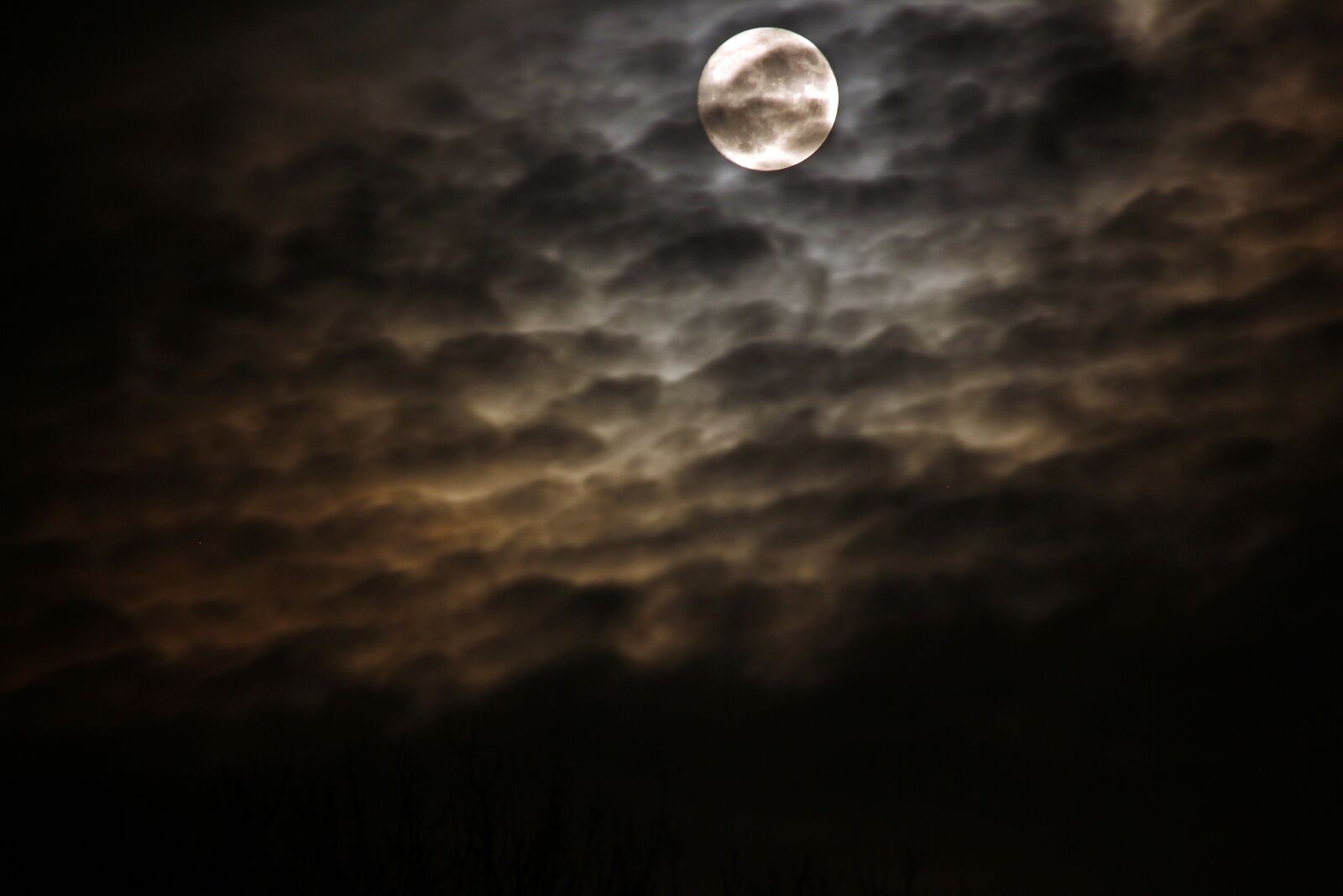 Canon EOS 700D (EOS Rebel T5i / EOS Kiss X7i) sample photo. Night, full moon, clouds photography